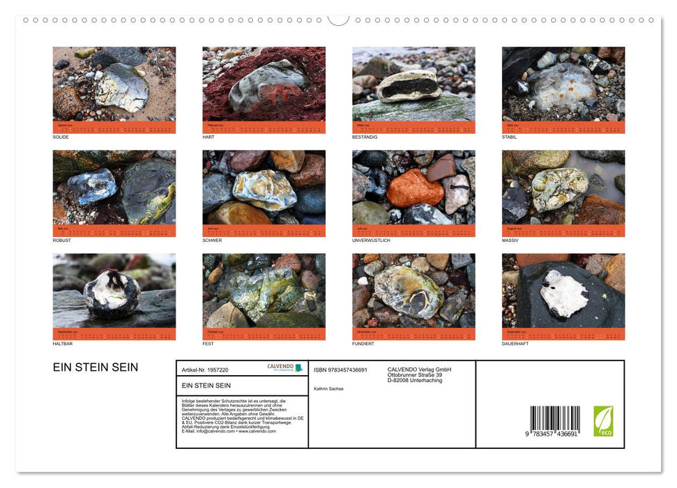 EIN STEIN SEIN (CALVENDO Premium Wandkalender 2026)