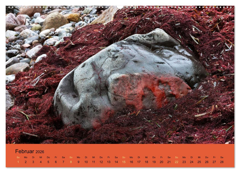 EIN STEIN SEIN (CALVENDO Premium Wandkalender 2026)