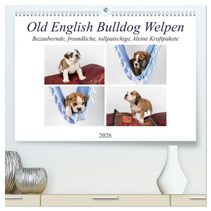 Old English Bulldog Welpen (CALVENDO Premium Wandkalender 2026)