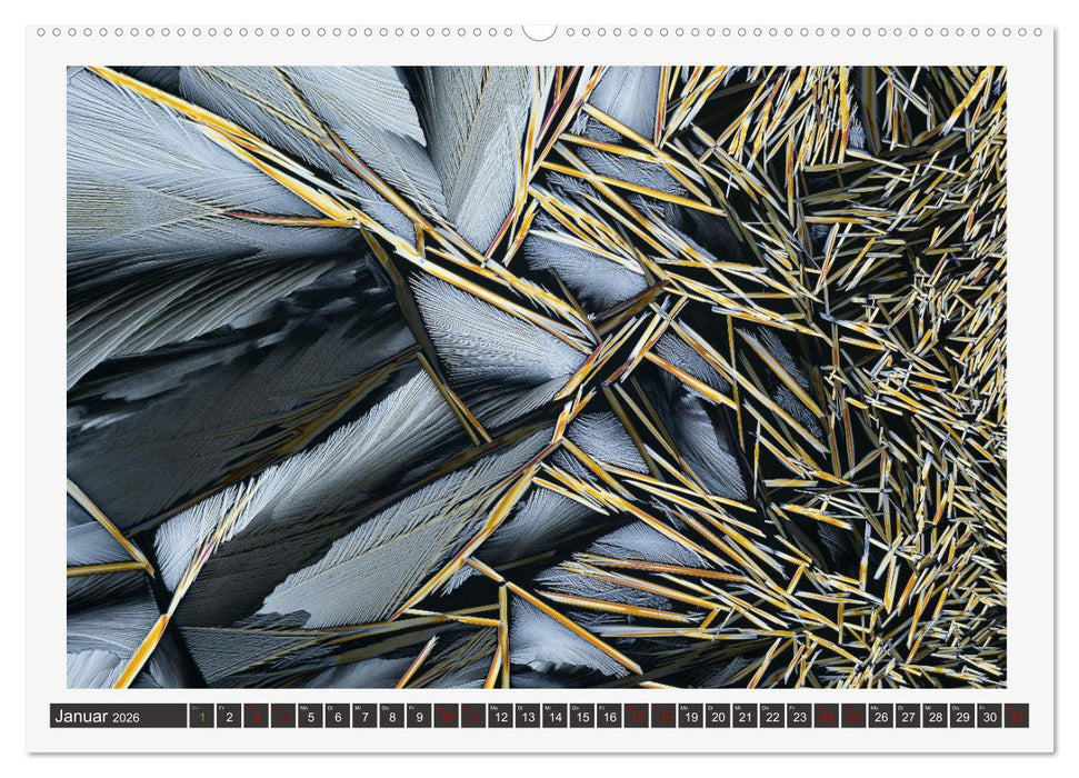 Farbenfrohe Mikrokristalle (CALVENDO Premium Wandkalender 2026)