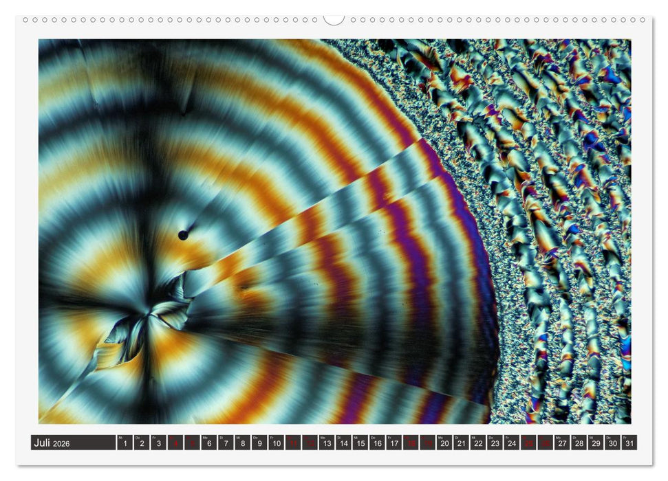 Farbenfrohe Mikrokristalle (CALVENDO Premium Wandkalender 2026)