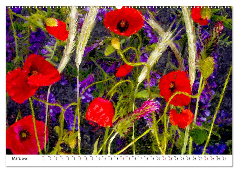Bunte Mohnblumen - Impressionen der Mohnblüte in Acrylfarbe (CALVENDO Premium Wandkalender 2026)