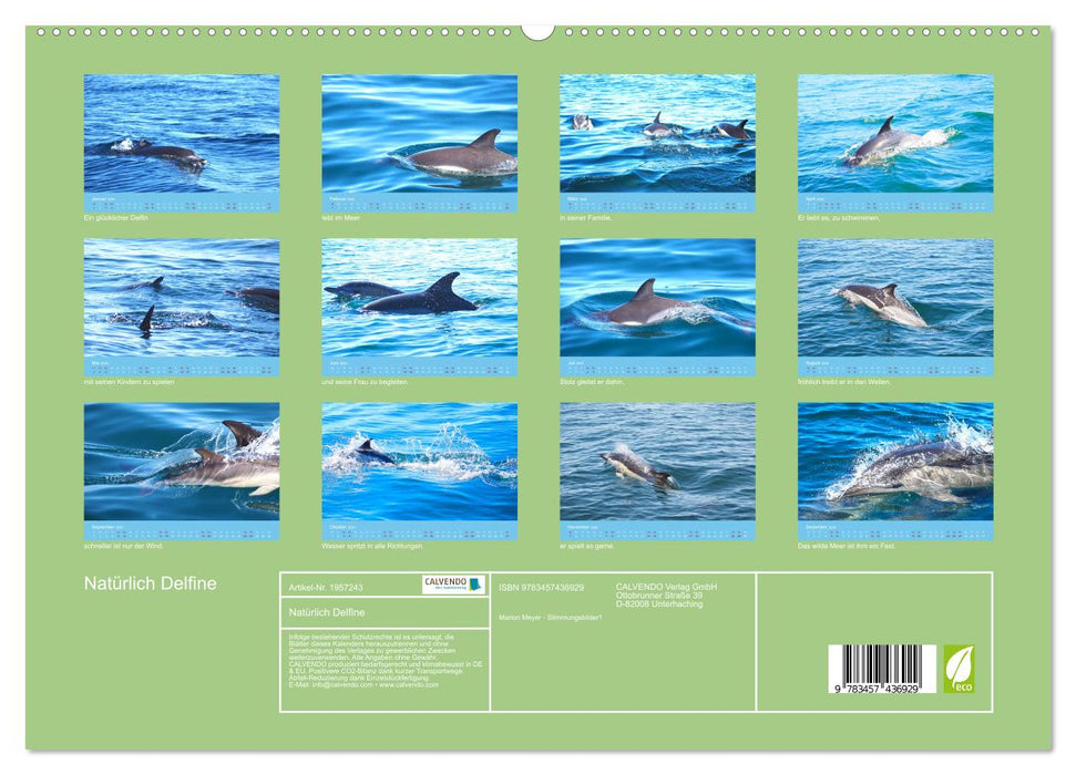 Natürlich Delfine (CALVENDO Premium Wandkalender 2026)