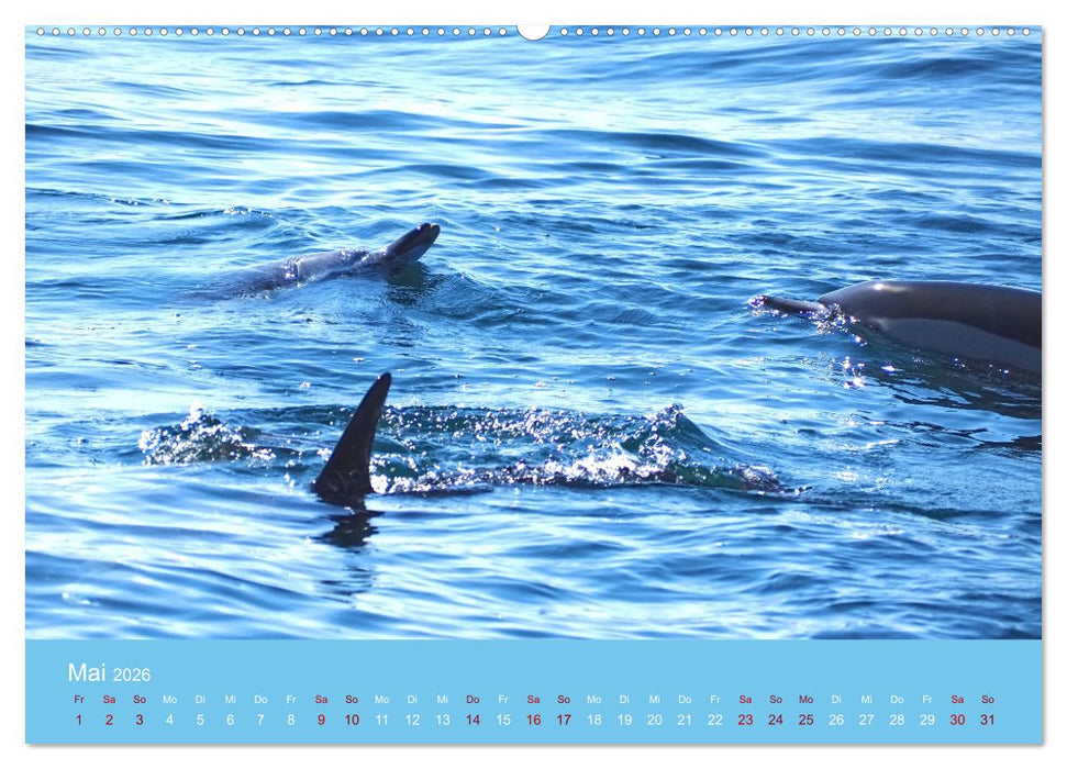 Natürlich Delfine (CALVENDO Premium Wandkalender 2026)