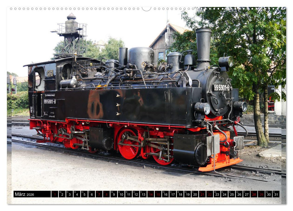 Harzer Schmalspurromantik (CALVENDO Premium Wandkalender 2026)
