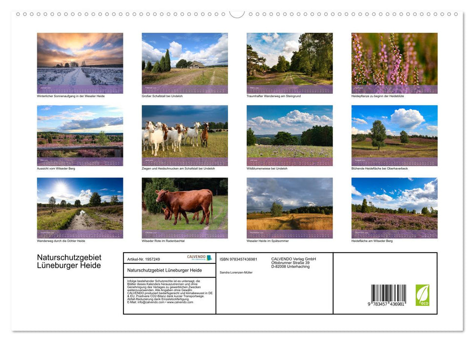 Naturschutzgebiet Lüneburger Heide (CALVENDO Premium Wandkalender 2026)