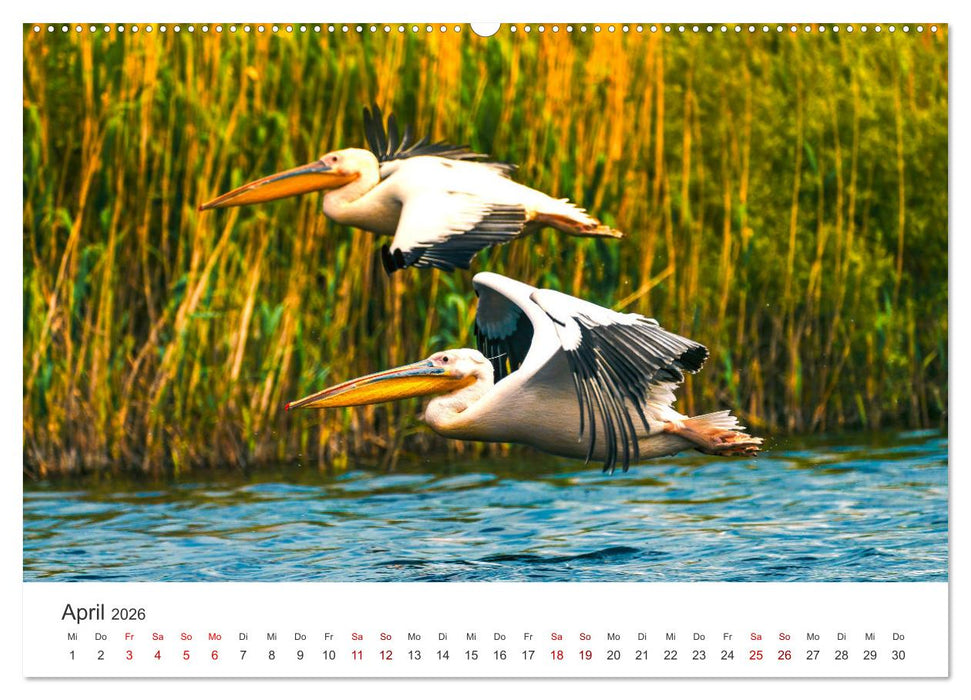 Rumänien - Das beeindruckende Land am Schwarzen Meer. (CALVENDO Premium Wandkalender 2026)