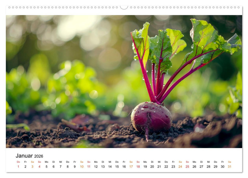 Gemüse für Gourmets (CALVENDO Wandkalender 2026)