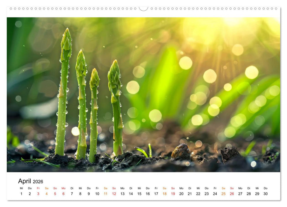 Gemüse für Gourmets (CALVENDO Wandkalender 2026)