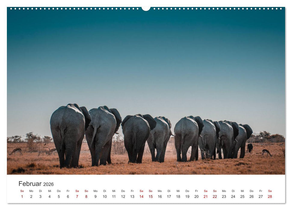 Namibia - Das wunderschöne Land am Atlantik. (CALVENDO Premium Wandkalender 2026)
