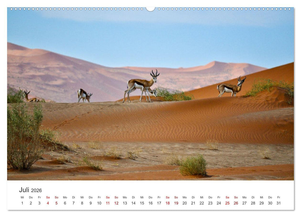 Namibia - Das wunderschöne Land am Atlantik. (CALVENDO Premium Wandkalender 2026)