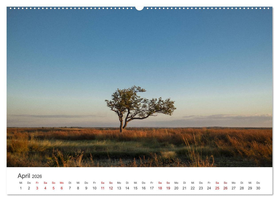 Madagaskar - Eine außergewöhnliche und wunderschöne Insel. (CALVENDO Premium Wandkalender 2026)