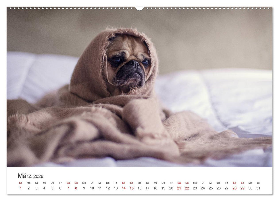 Home Sweet Home - Zuhause ist es immer noch am schönsten. (CALVENDO Premium Wandkalender 2026)