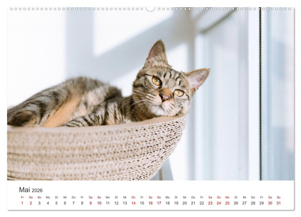 Home Sweet Home - Zuhause ist es immer noch am schönsten. (CALVENDO Premium Wandkalender 2026)