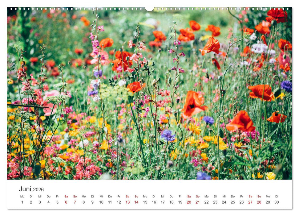 Home Sweet Home - Zuhause ist es immer noch am schönsten. (CALVENDO Premium Wandkalender 2026)