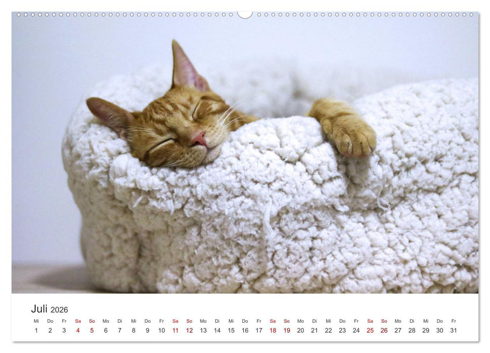 Home Sweet Home - Zuhause ist es immer noch am schönsten. (CALVENDO Premium Wandkalender 2026)