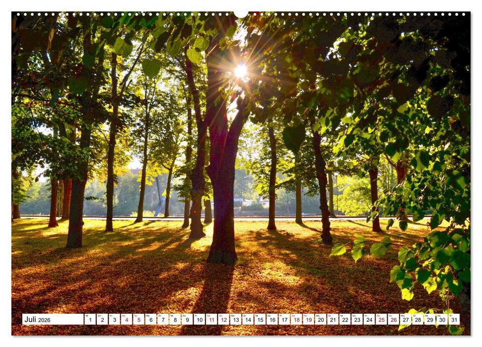 Kassel begeistert (CALVENDO Premium Wandkalender 2026)