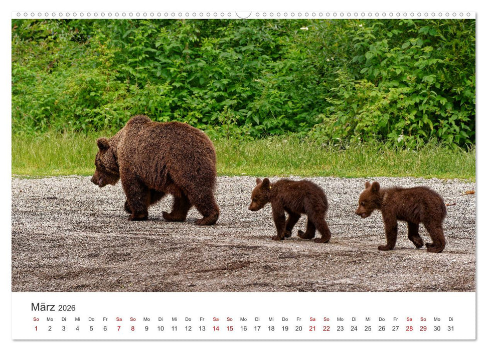 Siebenbürgen und das Fagaras Gebirge (CALVENDO Wandkalender 2026)