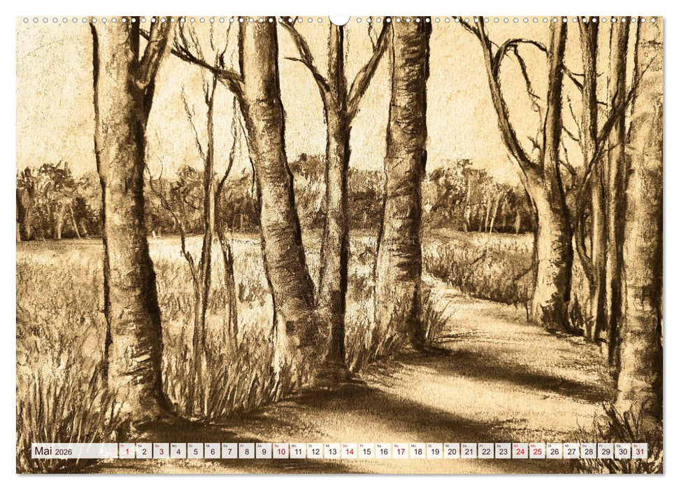 Pausen für deine Seele - Seelenlandschaften in Sepia - Ein Jahr der Ruhe mit Kohlezeichnungen (CALVENDO Wandkalender 2026)