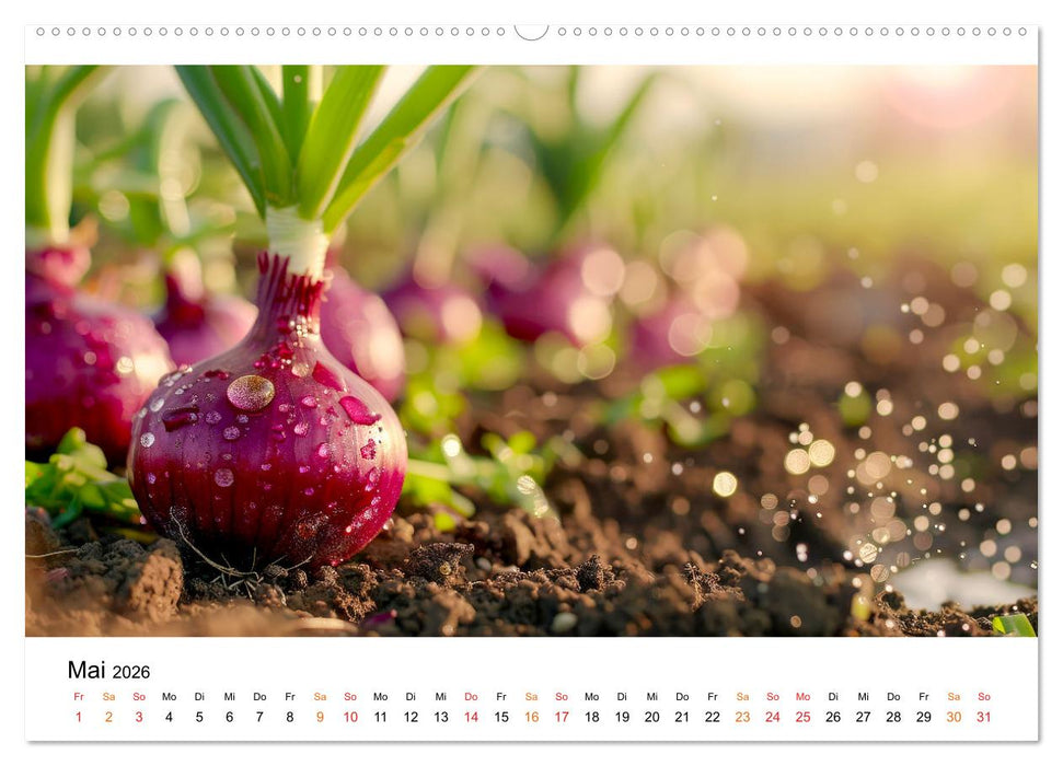 Gemüse für Gourmets (CALVENDO Premium Wandkalender 2026)