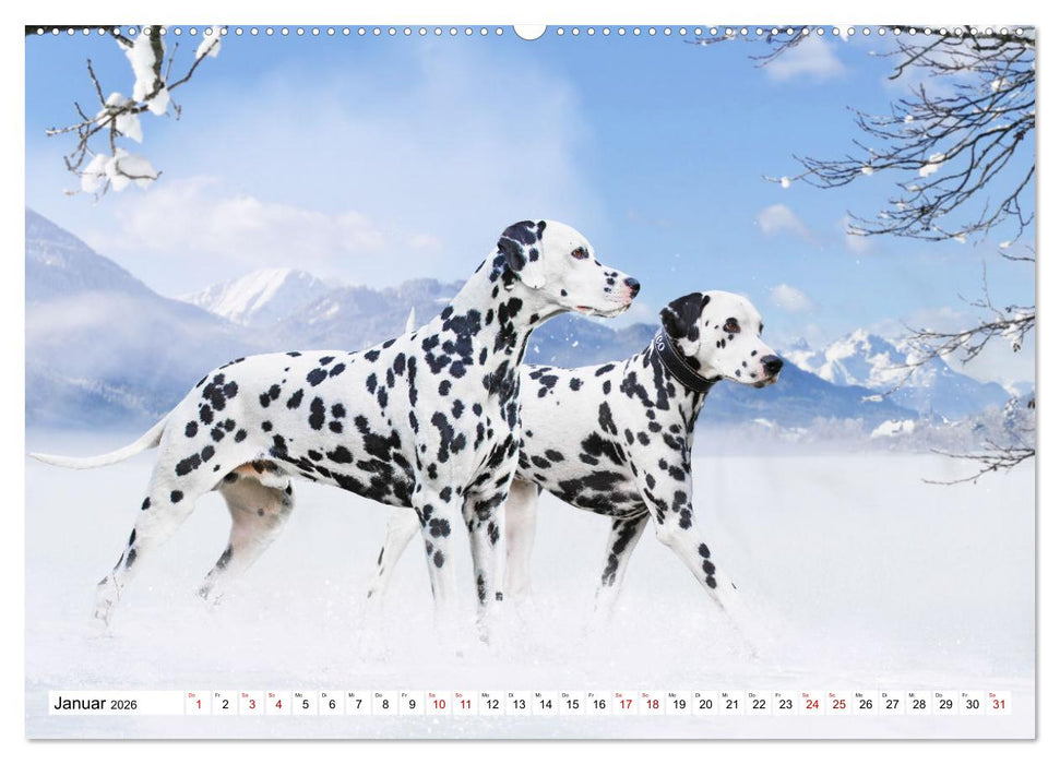 Ohne Hund ist alles nichts - Mit unseren besten Freunden durch das Jahr (CALVENDO Premium Wandkalender 2026)