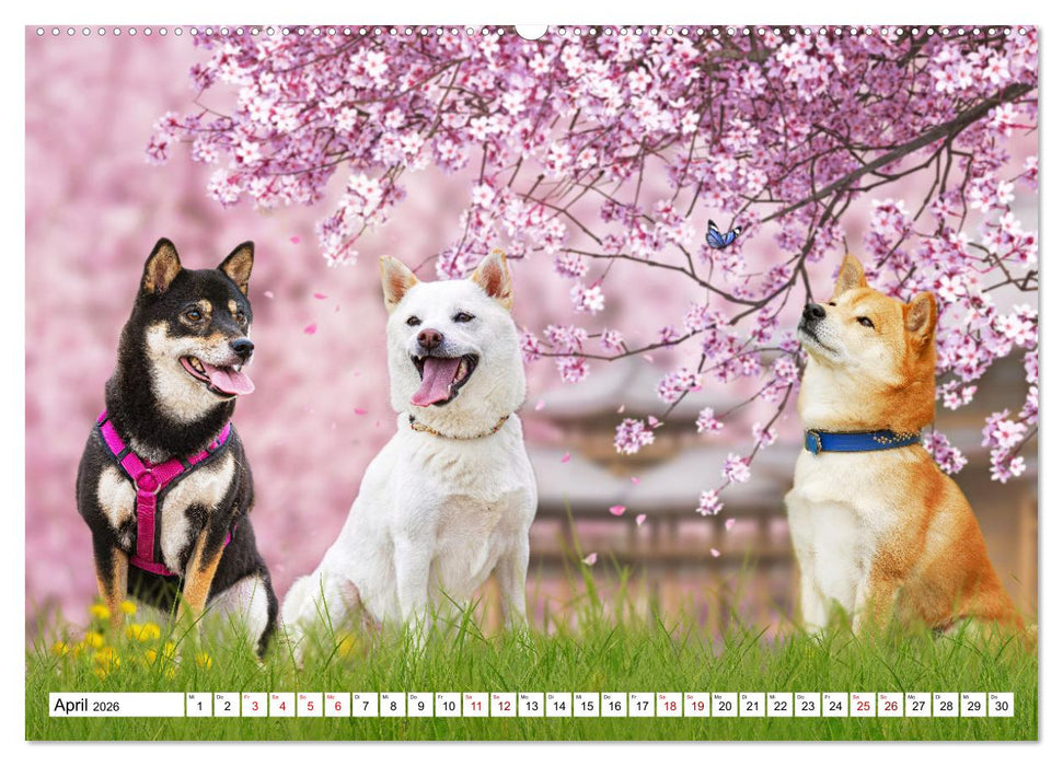 Ohne Hund ist alles nichts - Mit unseren besten Freunden durch das Jahr (CALVENDO Premium Wandkalender 2026)