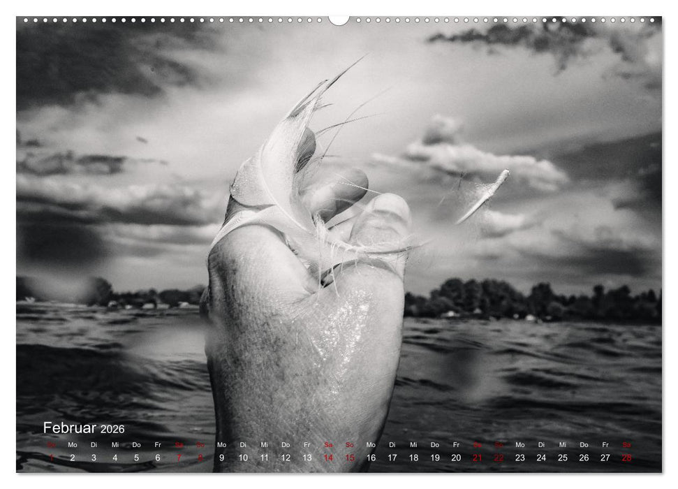 FREIWASSERLUST (CALVENDO Premium Wandkalender 2026)