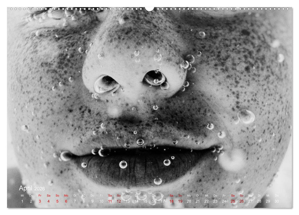 FREIWASSERLUST (CALVENDO Premium Wandkalender 2026)