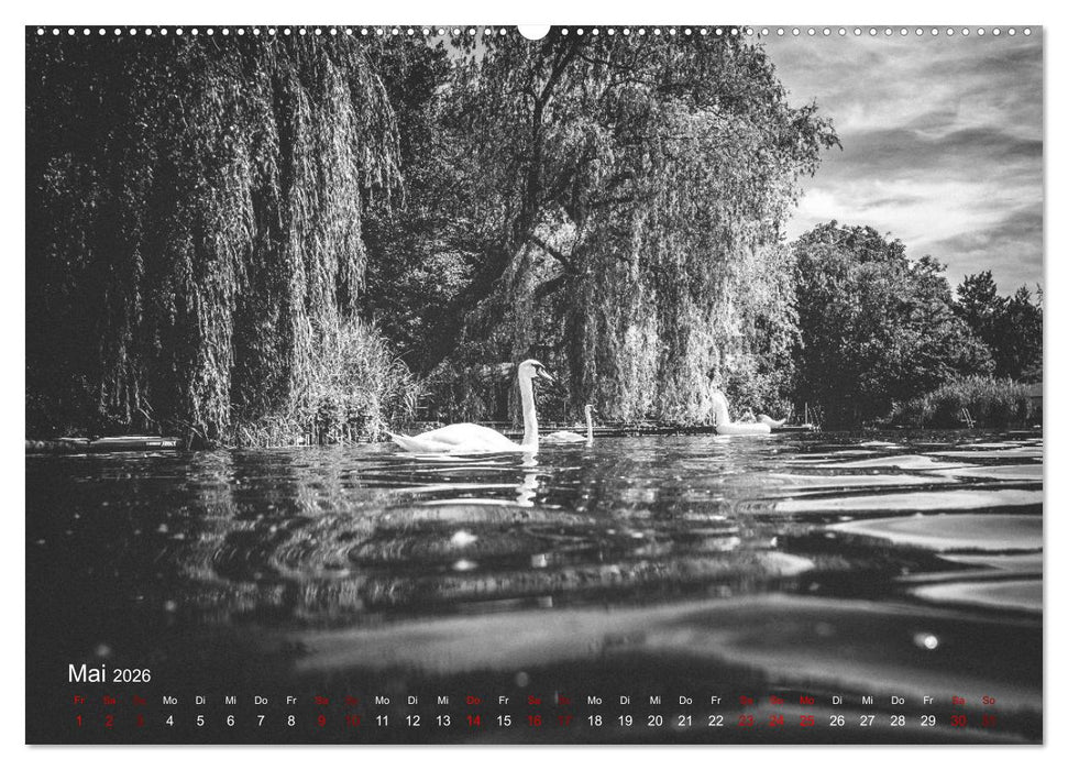 FREIWASSERLUST (CALVENDO Premium Wandkalender 2026)