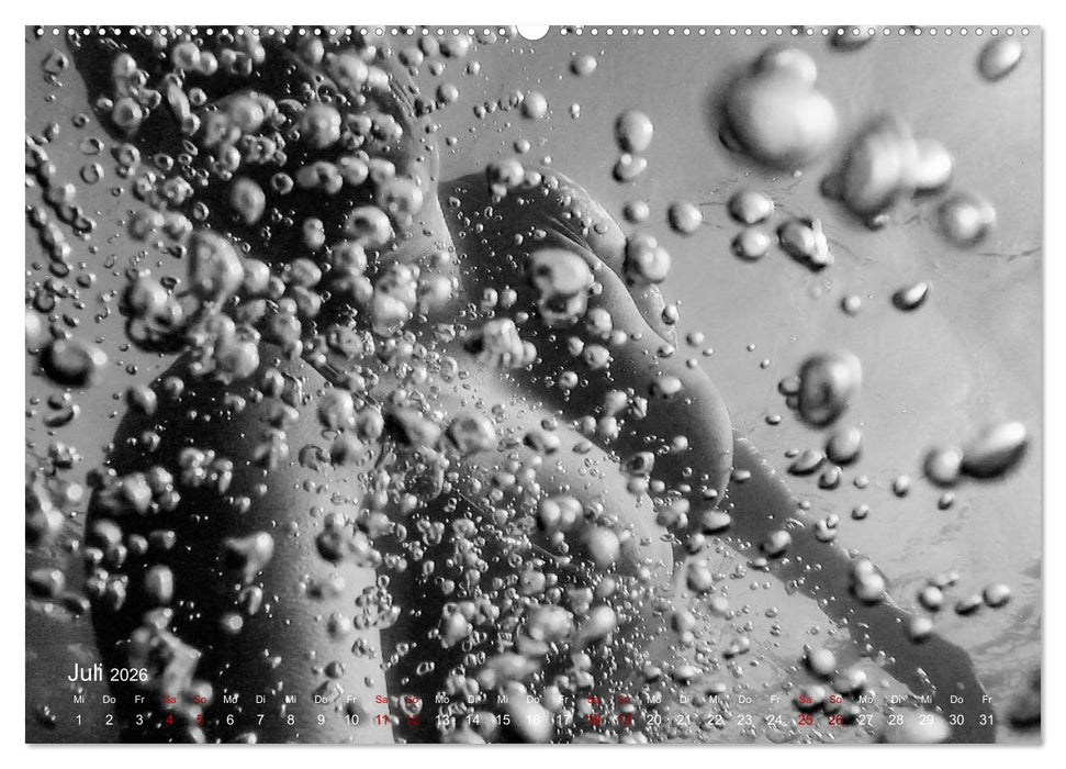 FREIWASSERLUST (CALVENDO Premium Wandkalender 2026)