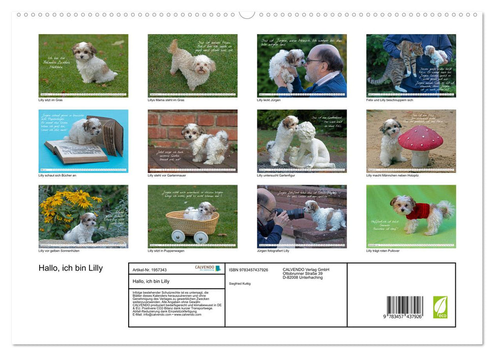Hallo, ich bin Lilly (CALVENDO Premium Wandkalender 2026)