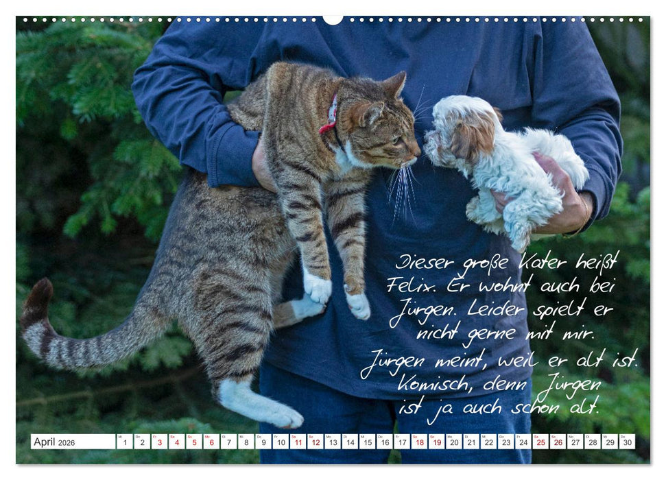 Hallo, ich bin Lilly (CALVENDO Premium Wandkalender 2026)