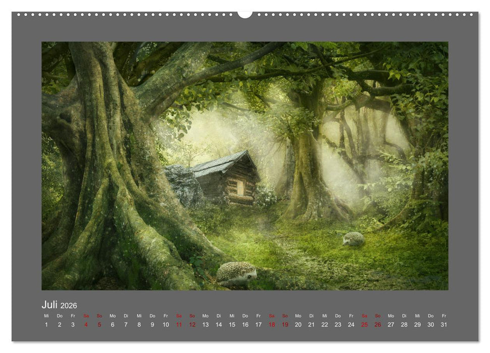 Vom Zauber der Einsamkeit (CALVENDO Premium Wandkalender 2026)