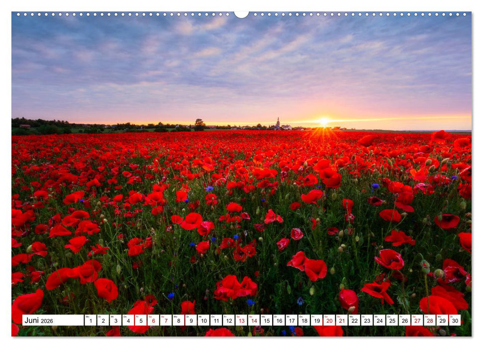 Sonnige Augenblicke (CALVENDO Premium Wandkalender 2026)