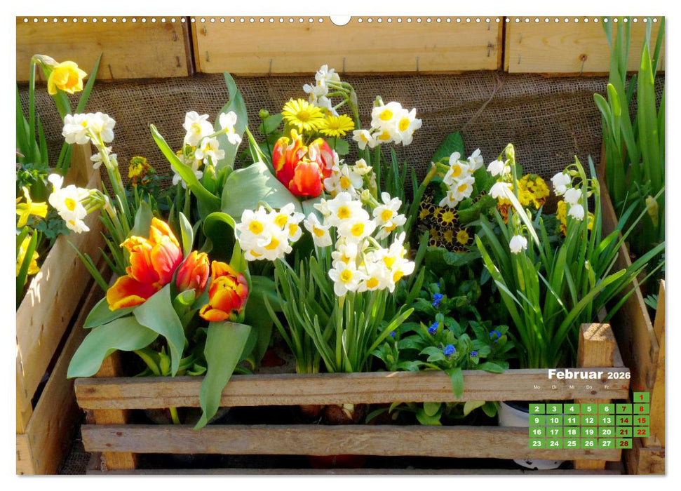 Urlaub im Garten (CALVENDO Premium Wandkalender 2026)