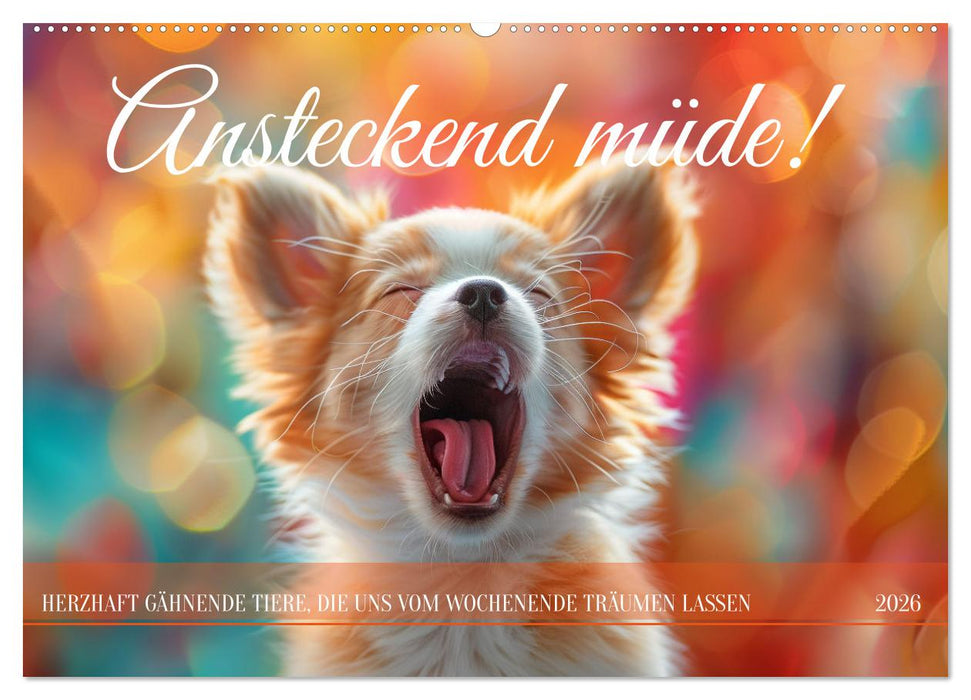 Ansteckend müde! (CALVENDO Wandkalender 2026)
