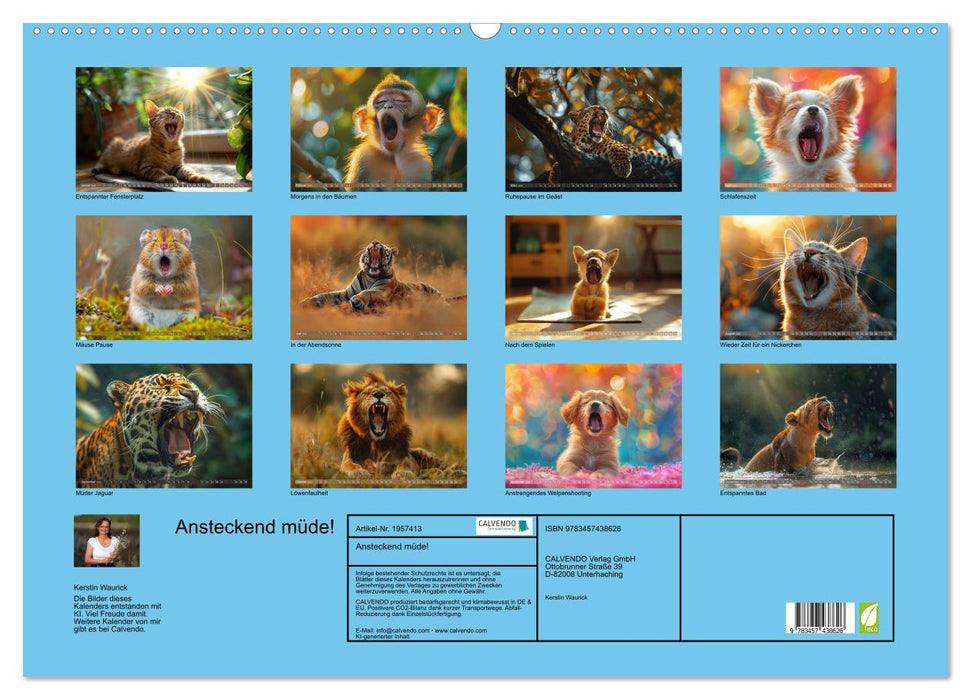 Ansteckend müde! (CALVENDO Wandkalender 2026)