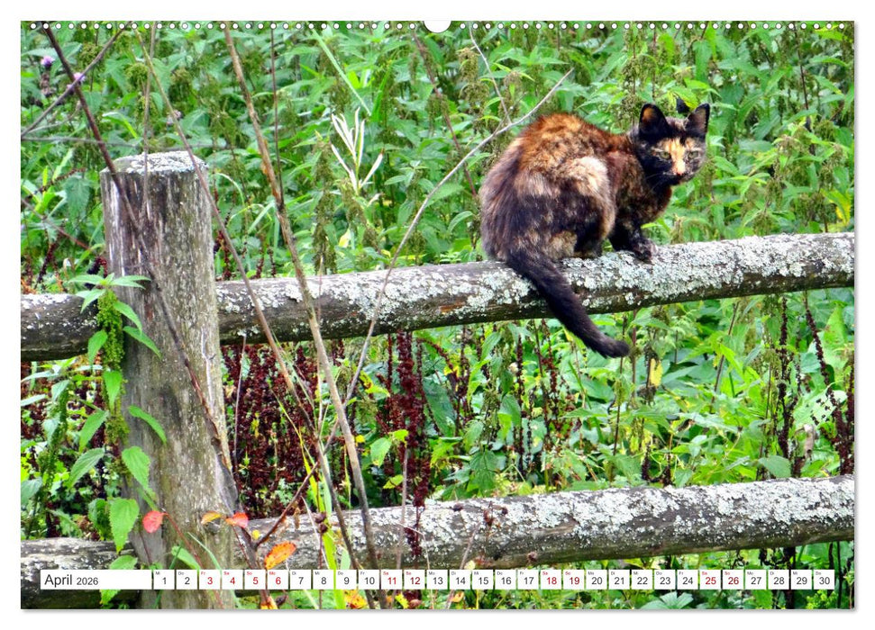 Das Puschkin-Dorf - Freilichtmuseum Bugrowo (CALVENDO Premium Wandkalender 2026)