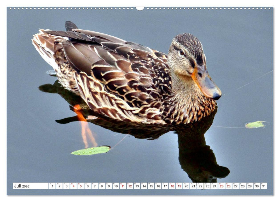 Das Puschkin-Dorf - Freilichtmuseum Bugrowo (CALVENDO Premium Wandkalender 2026)