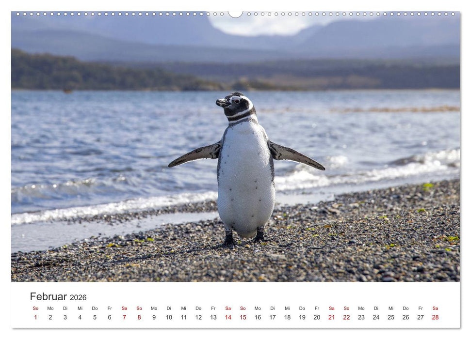 Argentinien - Das bezaubernde Land in Südamerika. (CALVENDO Premium Wandkalender 2026)