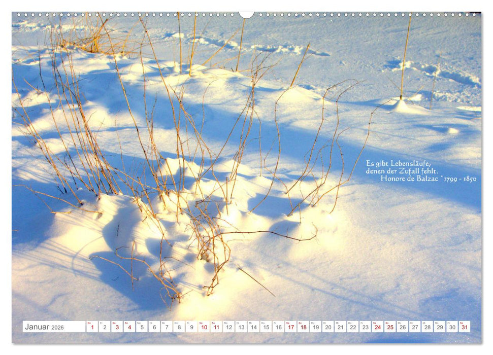 Über den Zufall - Nachdenk-Kalender (CALVENDO Premium Wandkalender 2026)