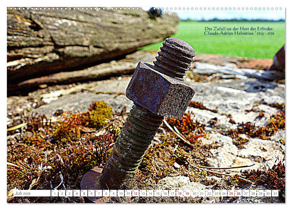 Über den Zufall - Nachdenk-Kalender (CALVENDO Premium Wandkalender 2026)