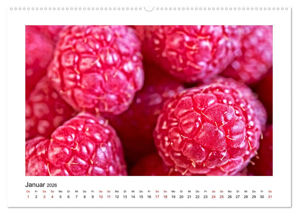 Frisches Obst - Mit leckeren Früchten und Vitaminen gesund durchs Jahr! (CALVENDO Wandkalender 2026)