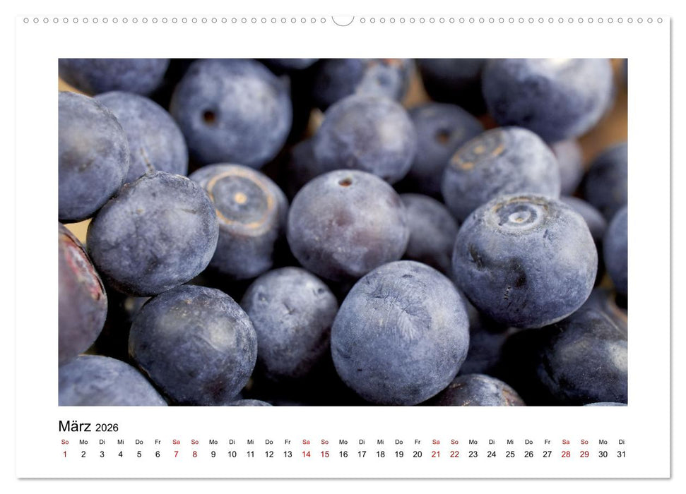 Frisches Obst - Mit leckeren Früchten und Vitaminen gesund durchs Jahr! (CALVENDO Wandkalender 2026)