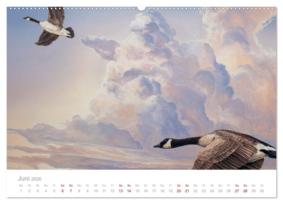 Paradise, Ausblicke und Träumereien (CALVENDO Premium Wandkalender 2026)