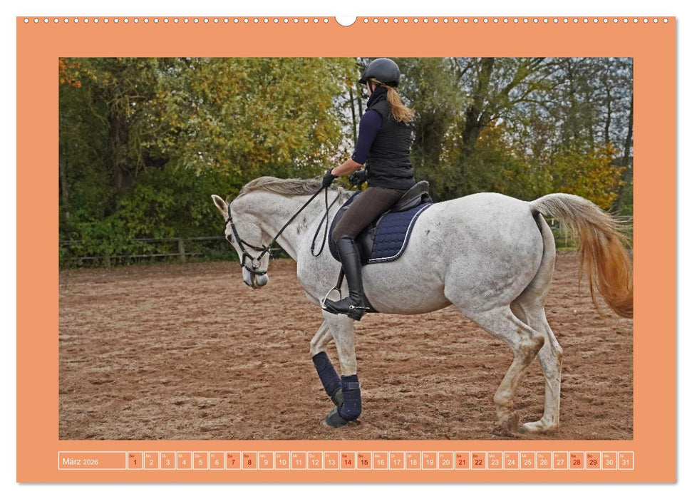 Faszination Schimmel (CALVENDO Premium Wandkalender 2026)