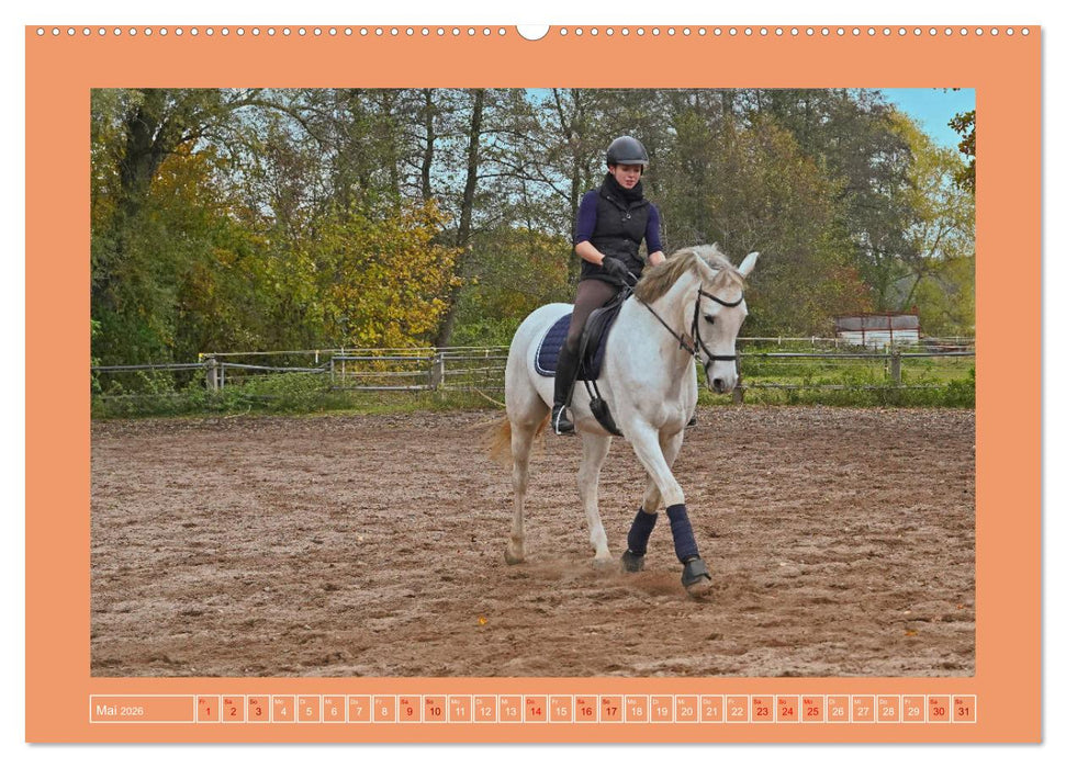 Faszination Schimmel (CALVENDO Premium Wandkalender 2026)