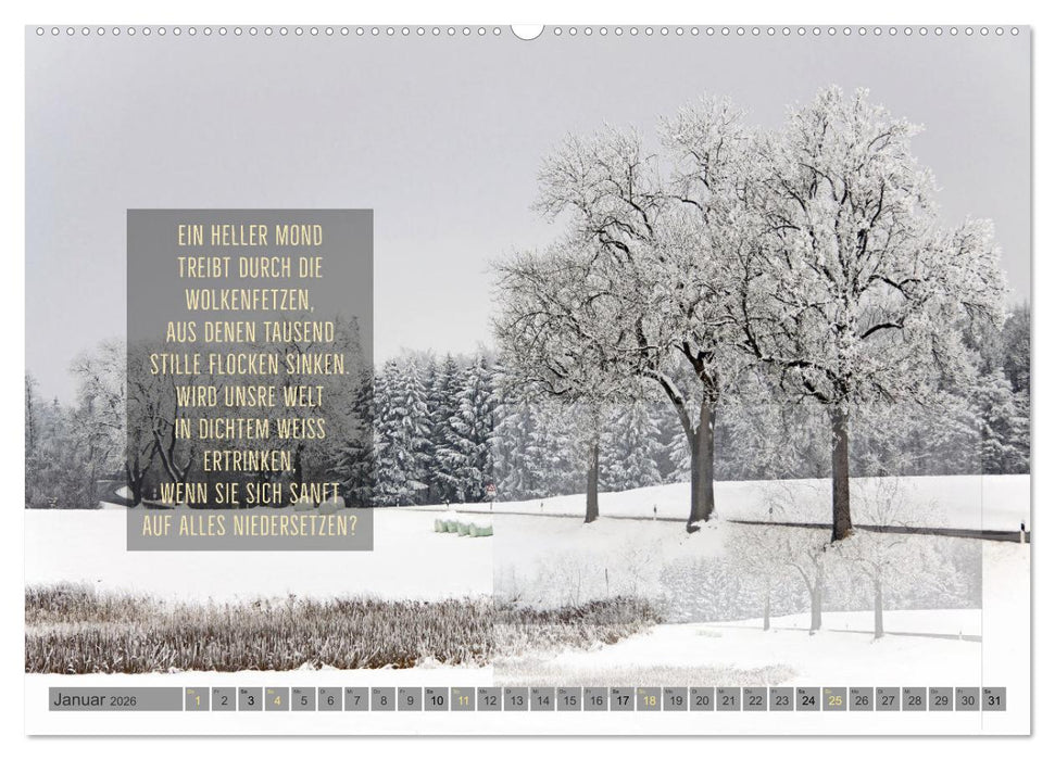 Stimmungsreigen Gefühlvolle Texte und Bilder (CALVENDO Premium Wandkalender 2026)