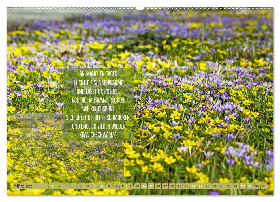 Stimmungsreigen Gefühlvolle Texte und Bilder (CALVENDO Premium Wandkalender 2026)