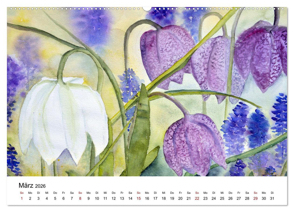 Blumen-Aquarelle (CALVENDO Premium Wandkalender 2026)